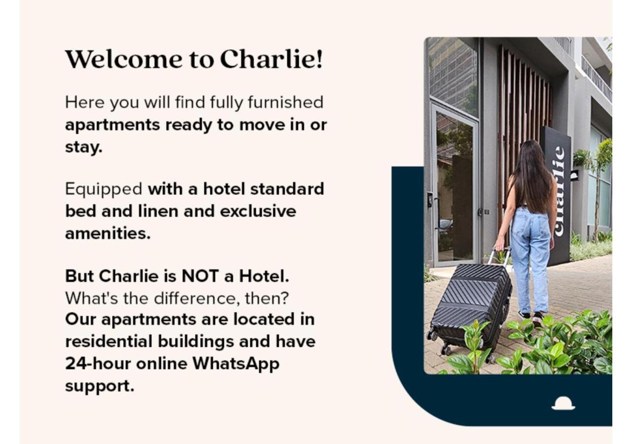 Charlie Nun Itaim 公寓 圣保罗